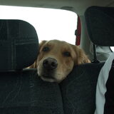 Do mee op vakantie naar Center Parcs, wat een lief koppie he!