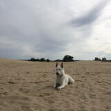 Foto van Samantha & Aiko