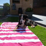 Foto van Alison&Shado