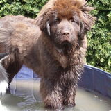 Foto van Jeanine :)