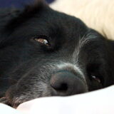 zzz..