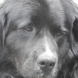 Foto van tessa
