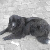 Foto van tessa