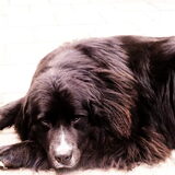 Foto van tessa