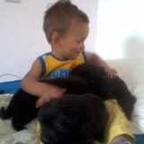 Foto van Tineke *Luna * Rambo (Brutus R.I.P)