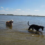 zeewolde strand