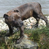 Foto van Elly