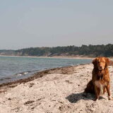 By the sea, by the beautiful sea...