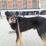 Foto van Samantha, Micah,Timmy&Timo