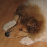 Foto van Liesbeth