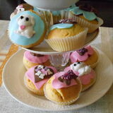 De puppy taartjes