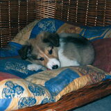 Kleine Miera. Geboorte datum 01-08-99