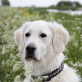 Foto van Annemarie en Tristan