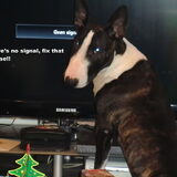 Tv verslaafd?? Neuh hoor...:)