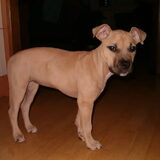 Misia, ik meen rond een week of 12 a 14.