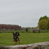 Foto van jacqueline en baco