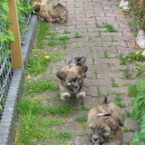 met broertje en zusje in de tuin, Ik ben de middelste