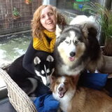 Mijn 3 schatjes