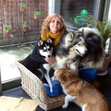 Amai om ze alle 3 goed op de foto te krijgen pfffff