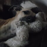 Foto van janny