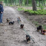 wandelen amerongen