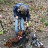 Foto van Teckeltaartje wendy