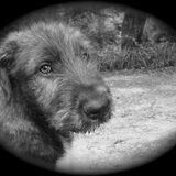 Foto van Jeanine :)
