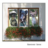 Foto van Samantha, Micah,Timmy&Timo