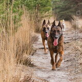 Foto van De Mecheltjes clan