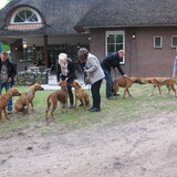 Foto van Anne-Wil (baasje van Juno)