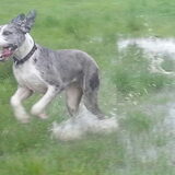 Wat is dat water toch heerlijk :D