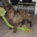 Foto van Jeanine & Caintie