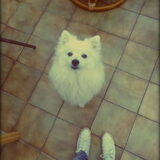 Foto van Josephine & Flynn