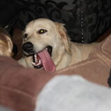 Foto van Suzan