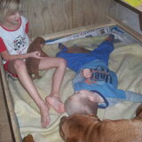 Kids bij Luna en pups...gezellig!