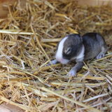Foto van Vivian   <3    Sem