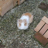 Foto van Vivian   <3    Sem