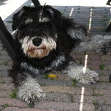 Knappe vent!
