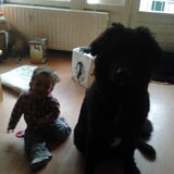 Baco en Sylvit