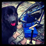 Samen band plakken
