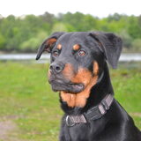 Wat groeit ze toch,, onze kleine meid