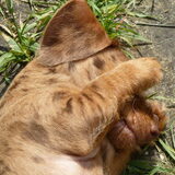 Zo lief!!