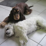 Foto van Valérie, Milo en Noa