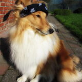 Foto van claudia