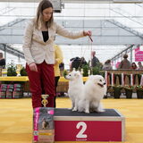 2 plaats in de koppelklasse met Didi en Kody in Leiden! Joepie!!
