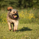 Foto van team Shadow