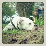 I love SAND!!