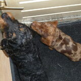 Partners in crime ;-)