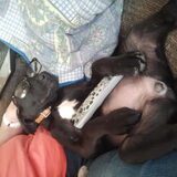 Bij de oma op schoot is altijd plezant !! =D