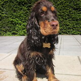 Foto van Valérie, Milo en Noa